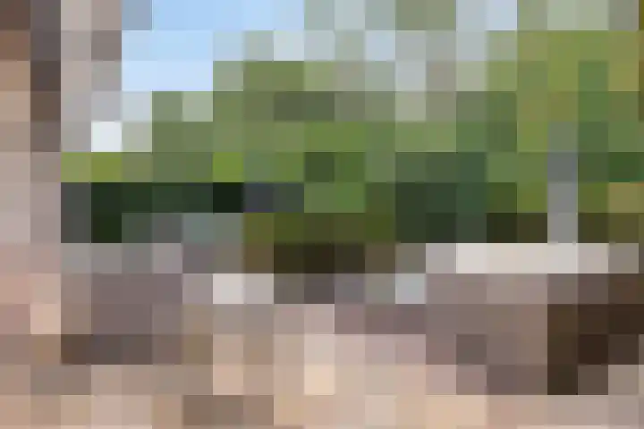 Bosrand 12 Schiedam thumbnail 6