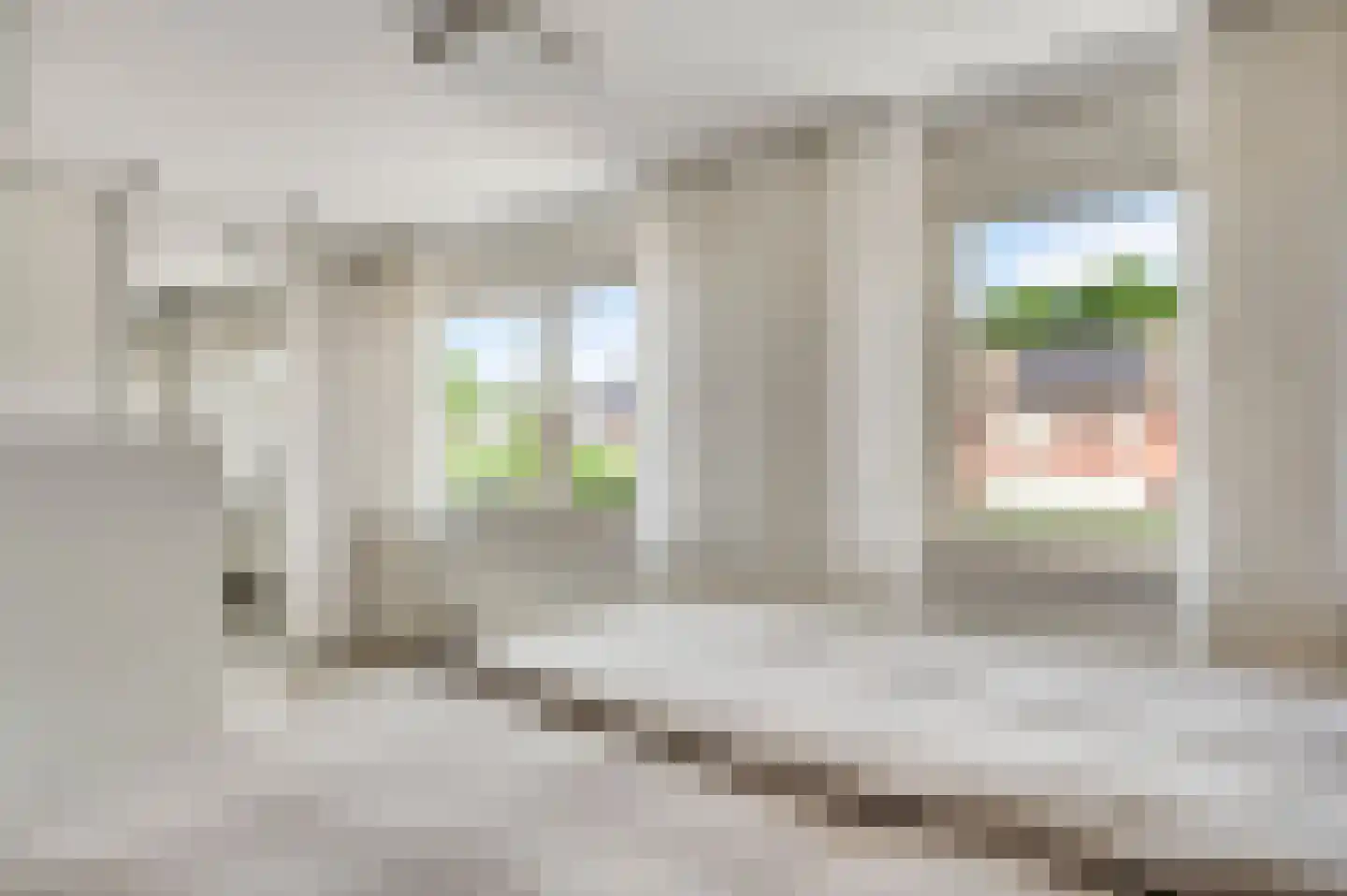 Bosrand 14 Swalmen thumbnail 25