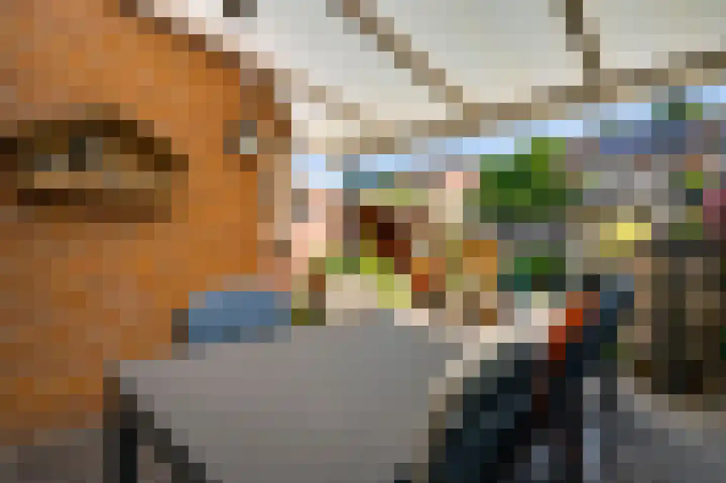 Bosrand 14 Swalmen thumbnail 31
