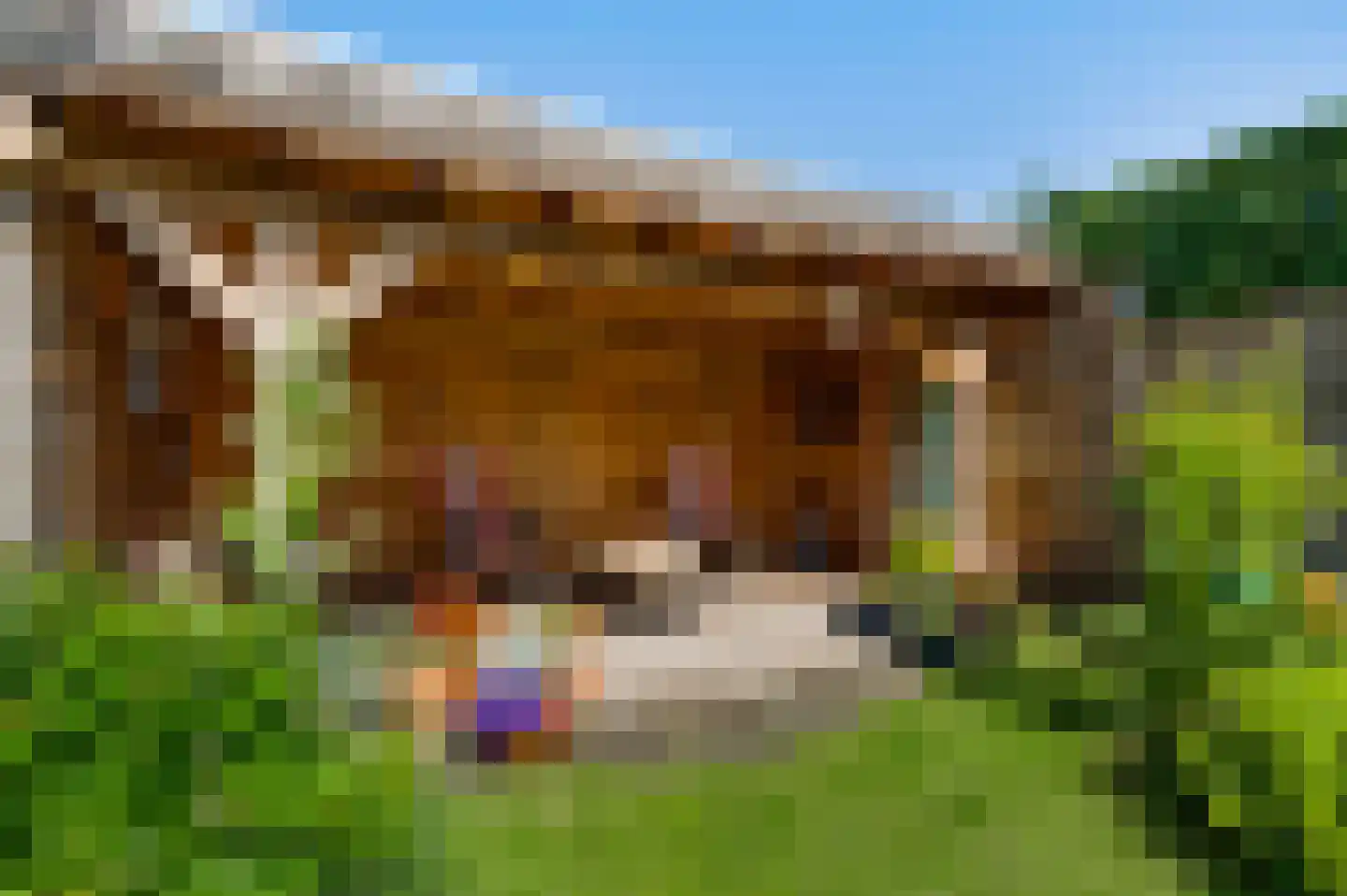 Bosrand 14 Swalmen thumbnail 33