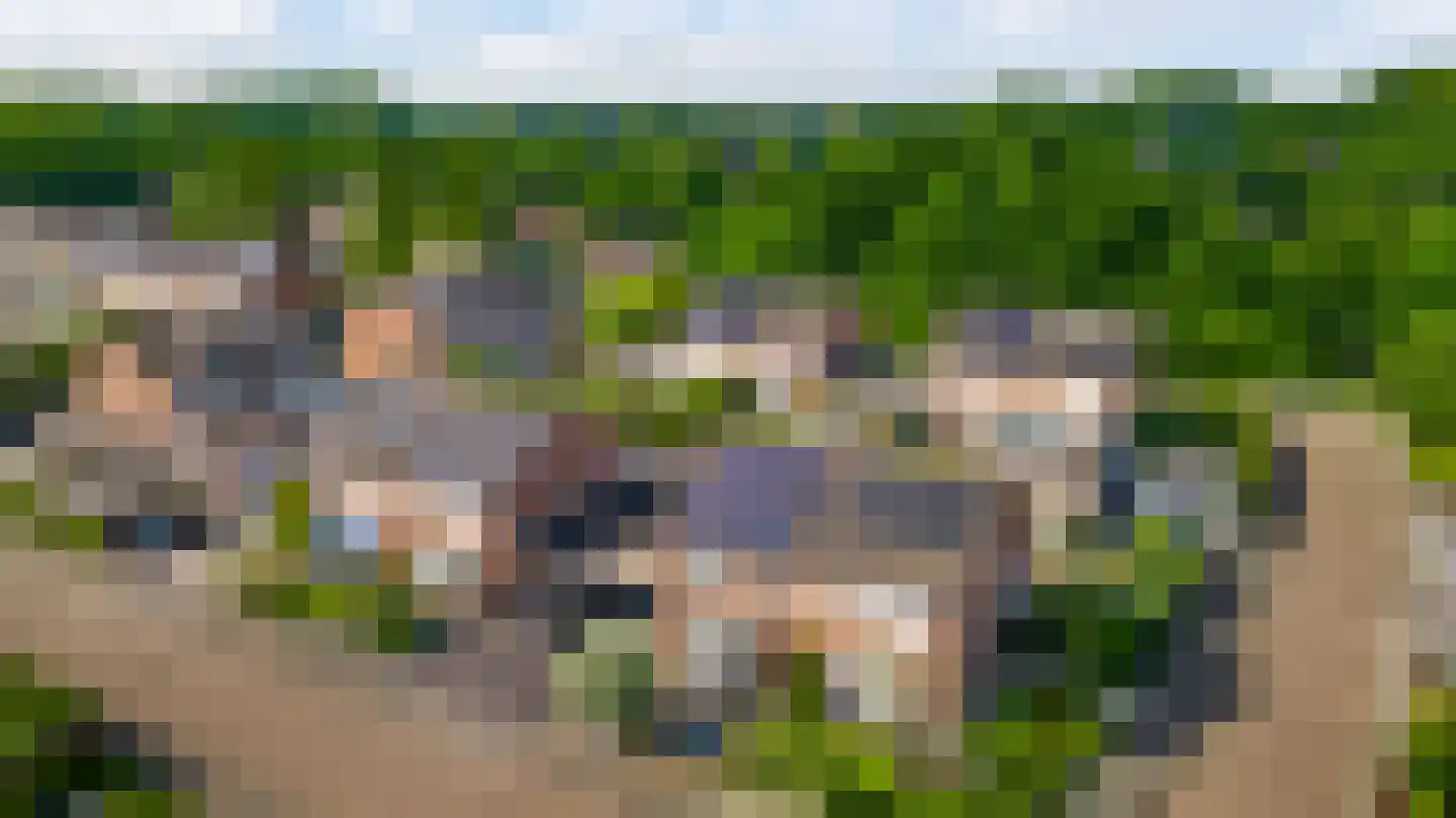 Bosrand 14 Swalmen thumbnail 45
