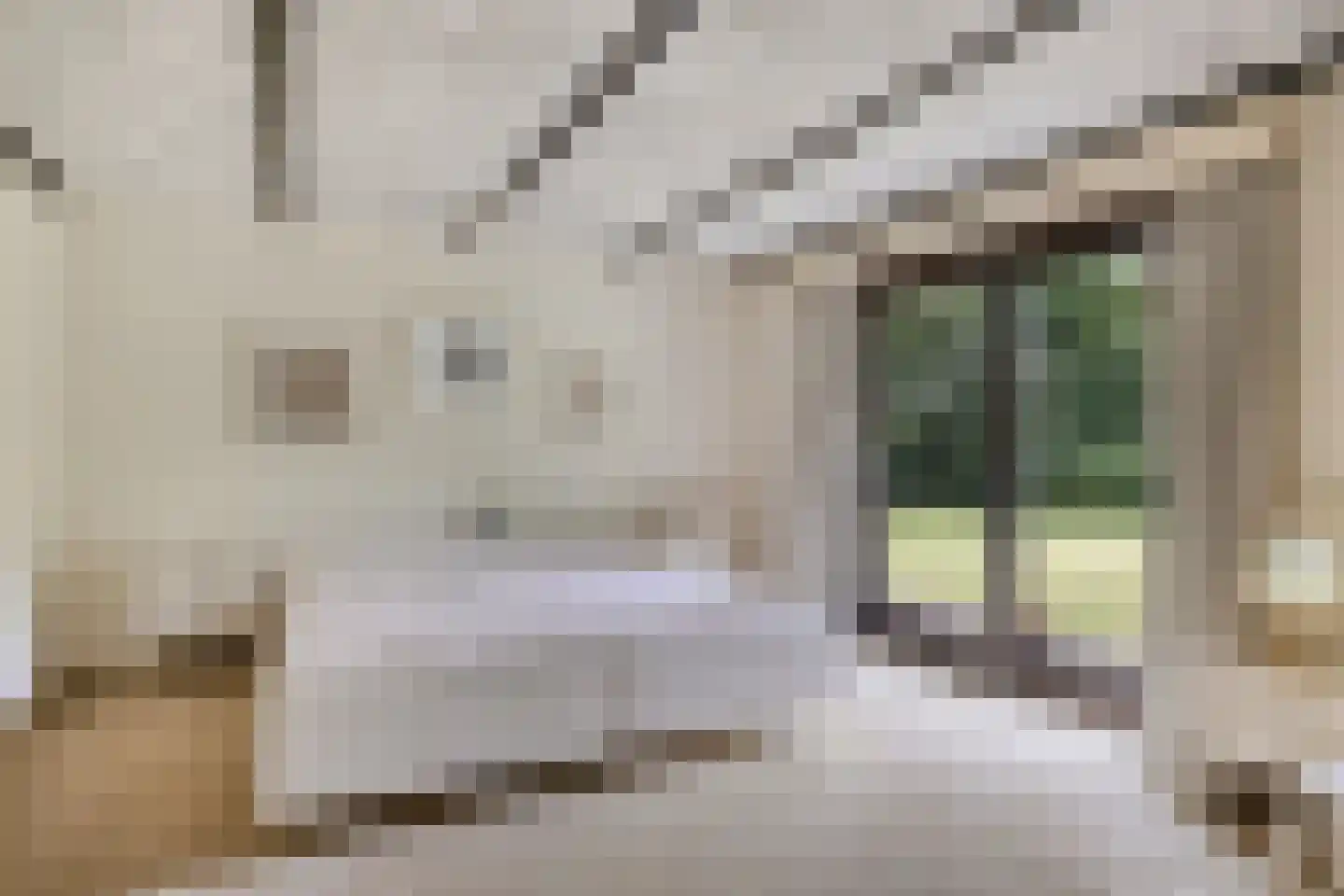 Bosrand 2 Asten thumbnail 16