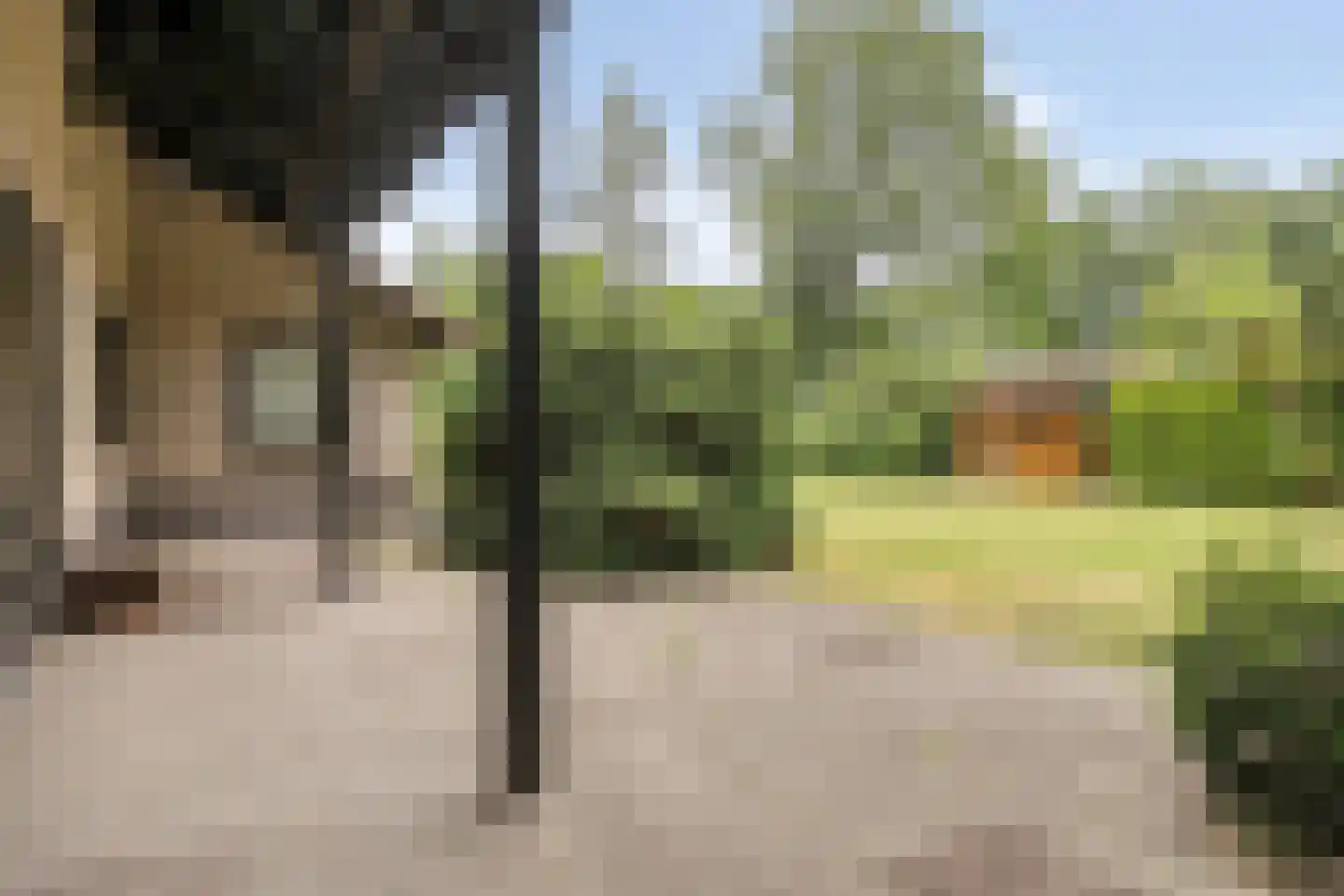 Bosrand 2 Asten thumbnail 31