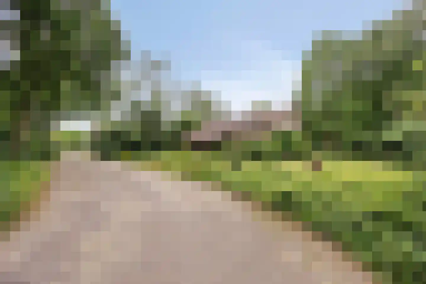 Bosrand 2 Asten thumbnail 38