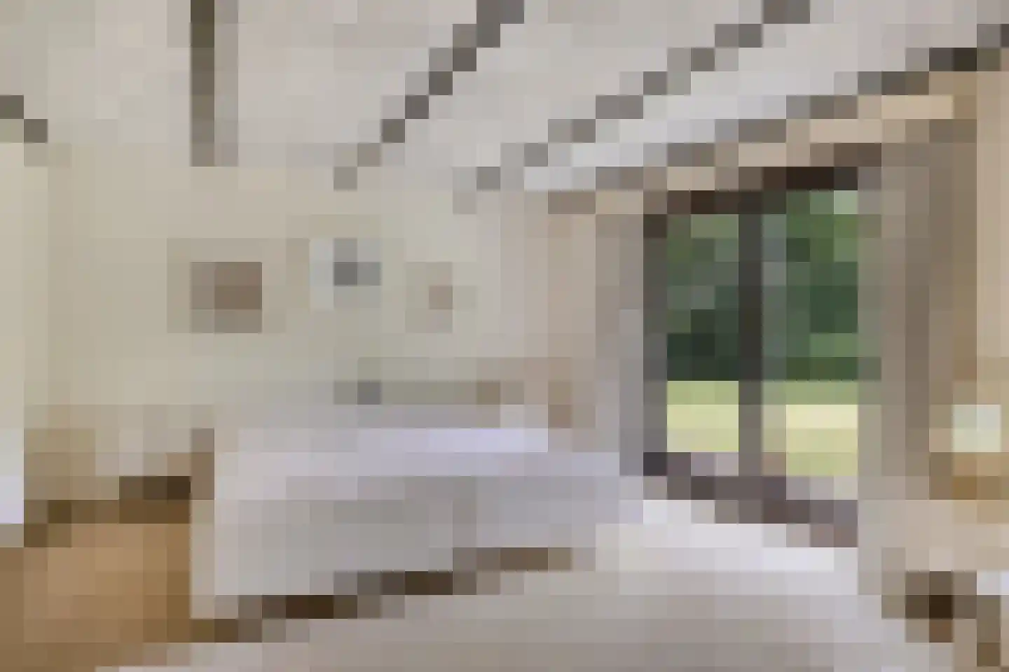 Bosrand 2 Asten thumbnail 4