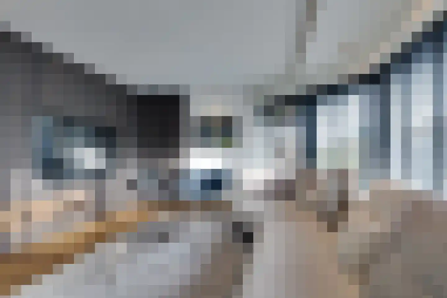 Bosrand 21 a Buren thumbnail 11