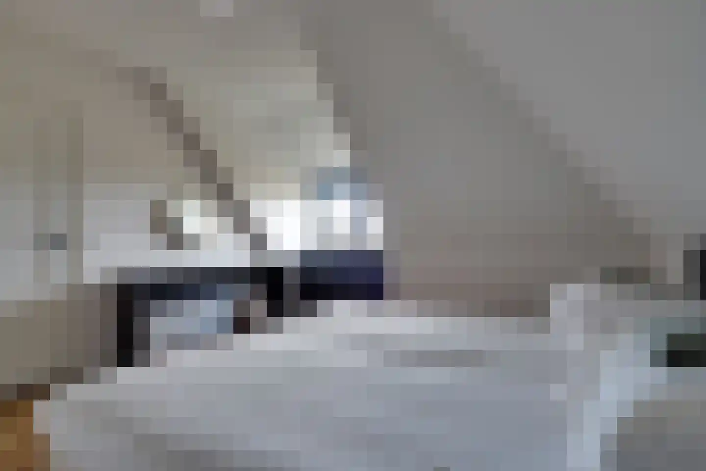 Bosrand 21 a Buren thumbnail 32