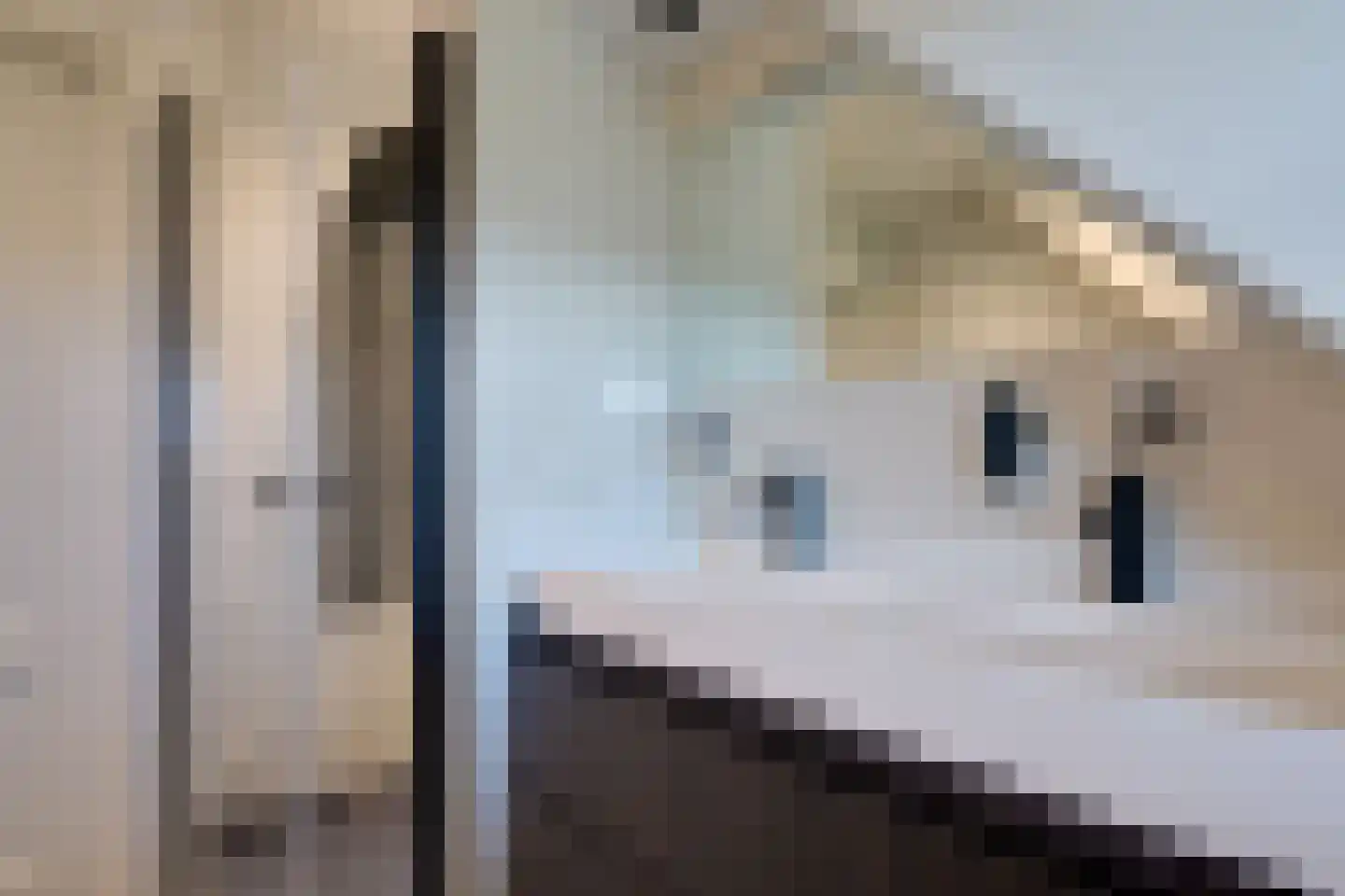 Bosrand 21 a Buren thumbnail 39