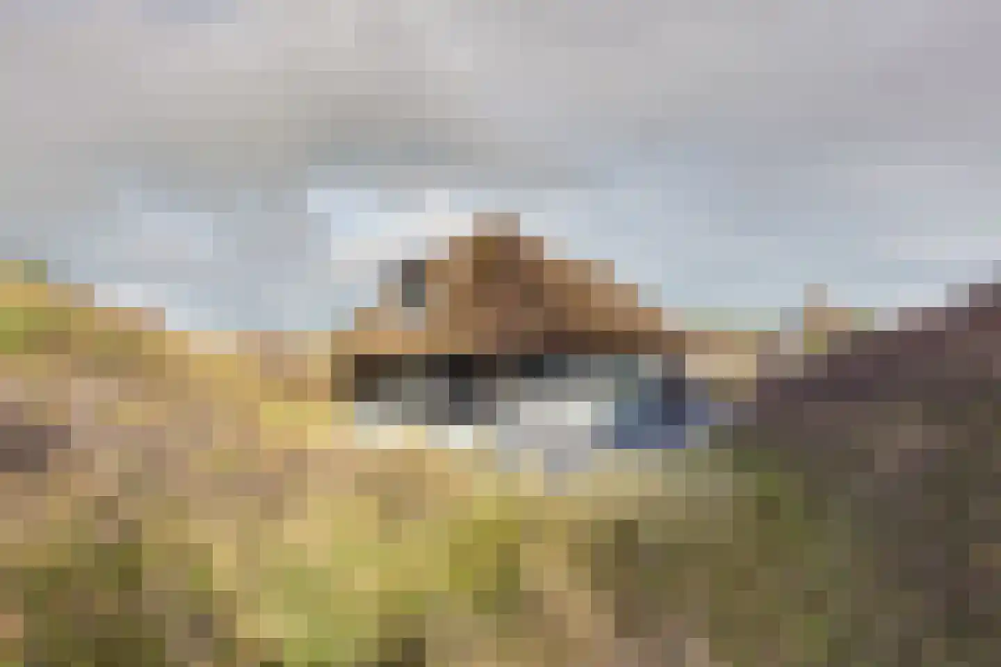 Bosrand 21 a Buren thumbnail 50