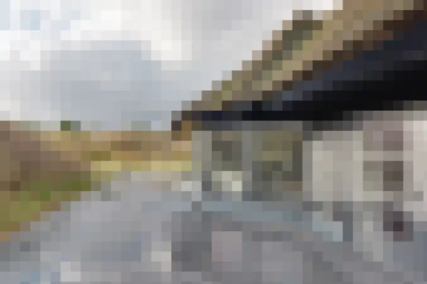 Bosrand 21 a Buren thumbnail 54