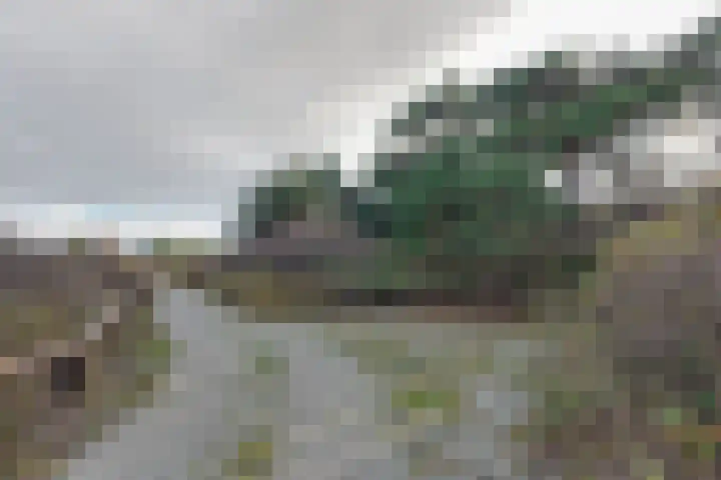 Bosrand 21 a Buren thumbnail 58