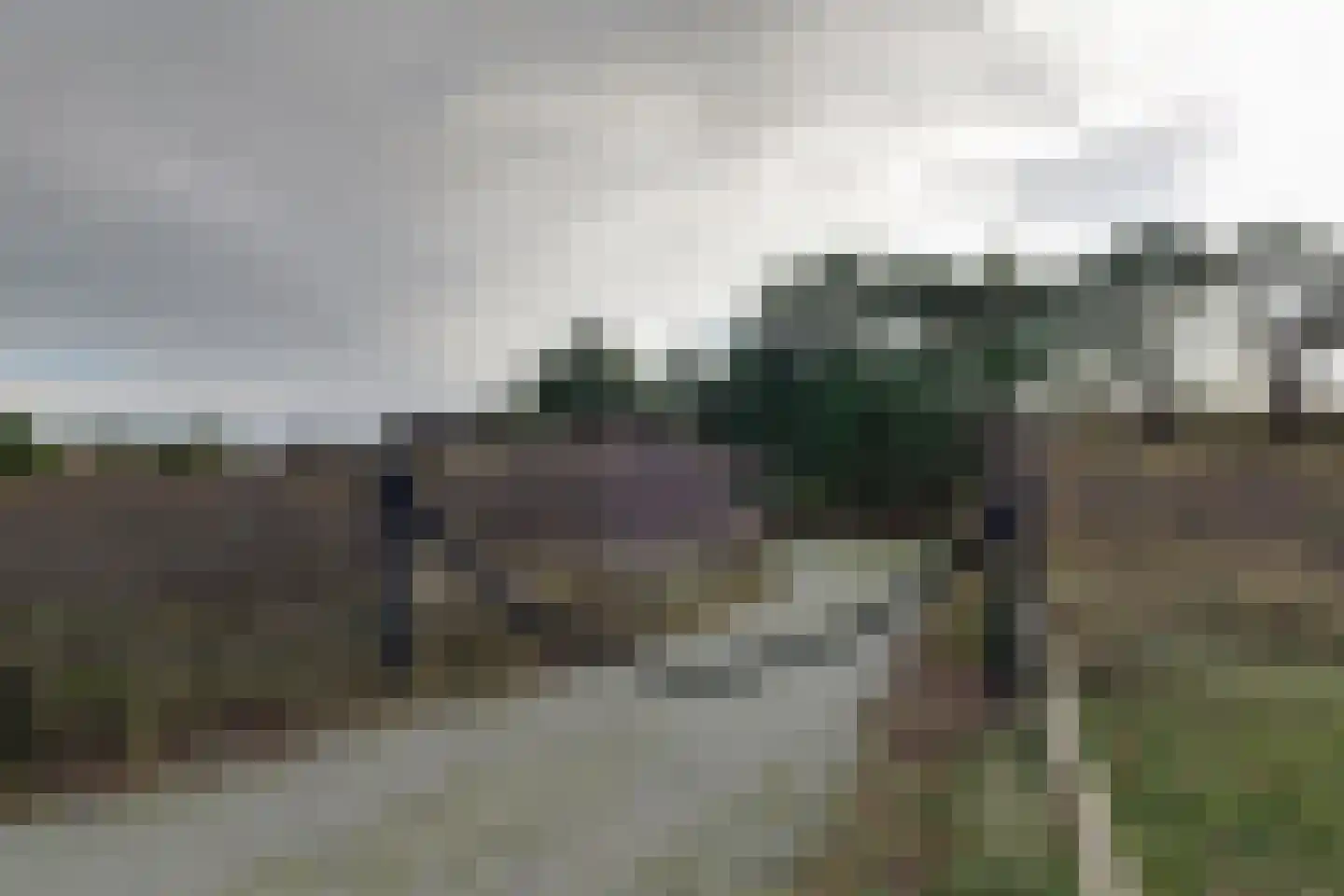 Bosrand 21 a Buren thumbnail 59
