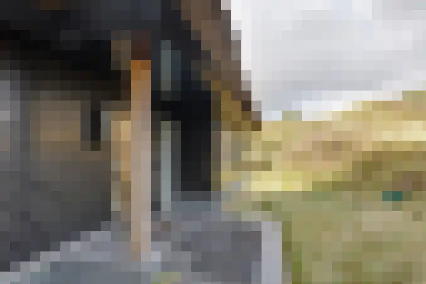 Bosrand 21 a Buren thumbnail 60