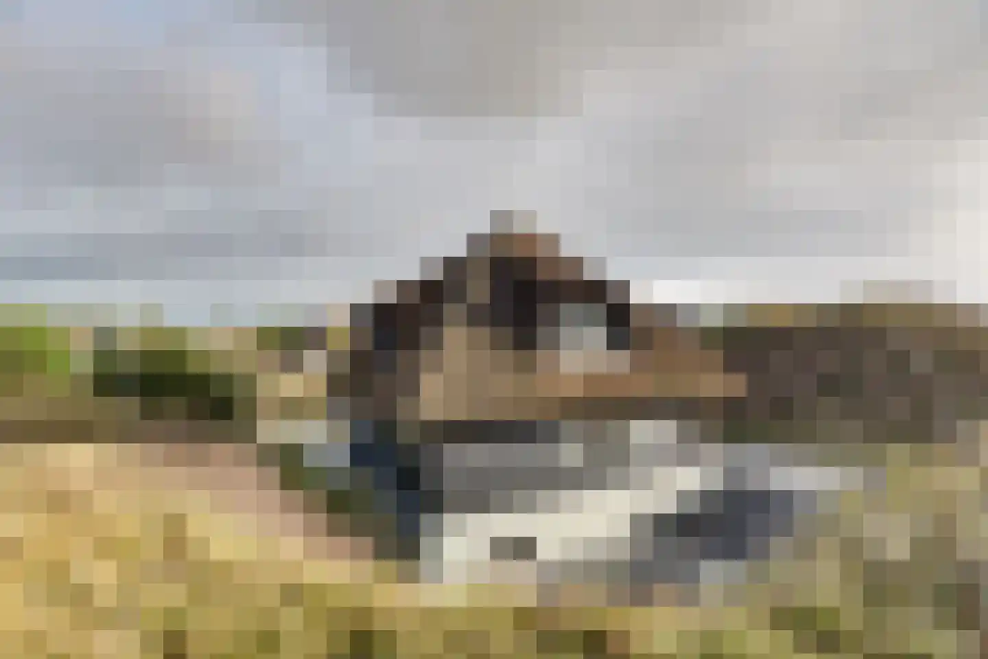 Bosrand 21 a Buren thumbnail 61