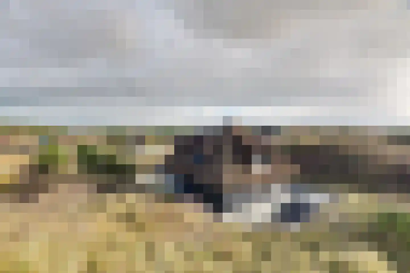 Bosrand 21 a Buren thumbnail 62