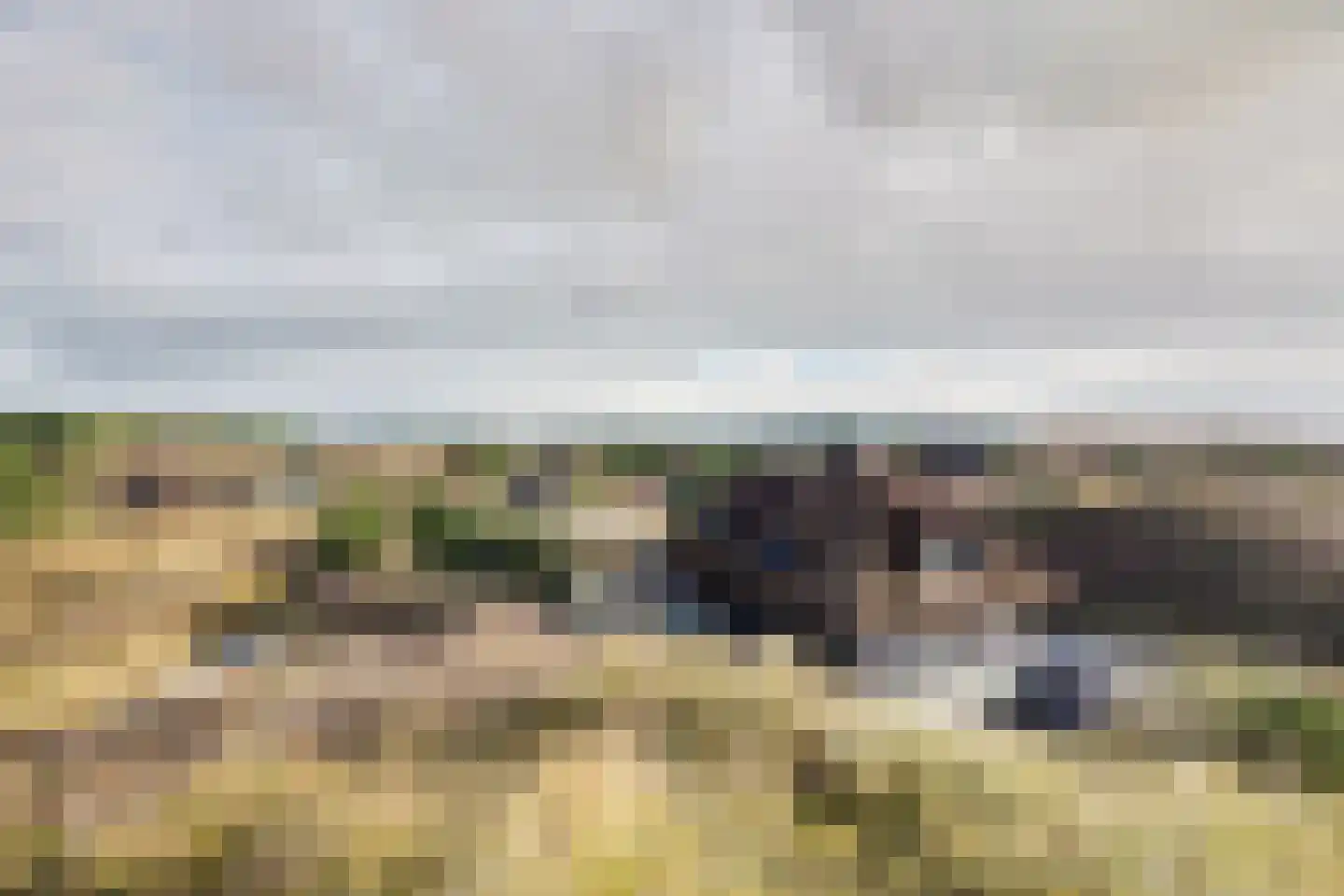 Bosrand 21 a Buren thumbnail 64