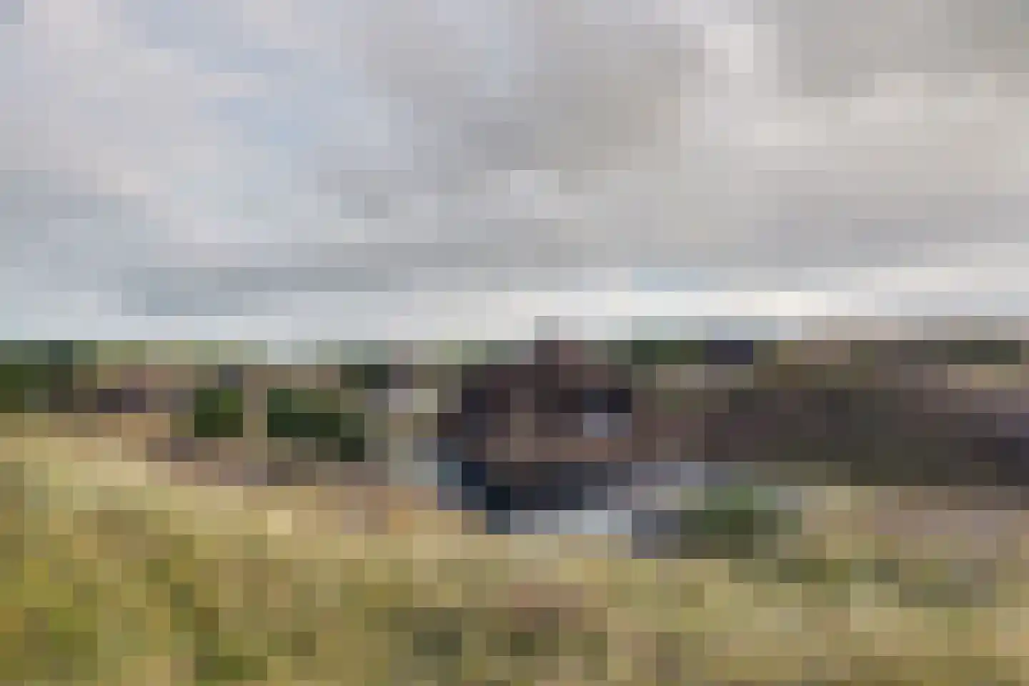 Bosrand 21 a Buren thumbnail 65