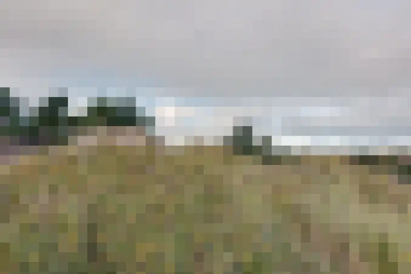 Bosrand 21 a Buren thumbnail 67