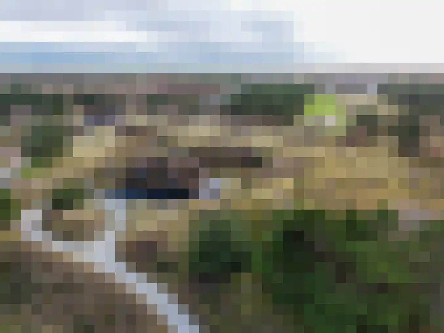 Bosrand 21 a Buren thumbnail 69