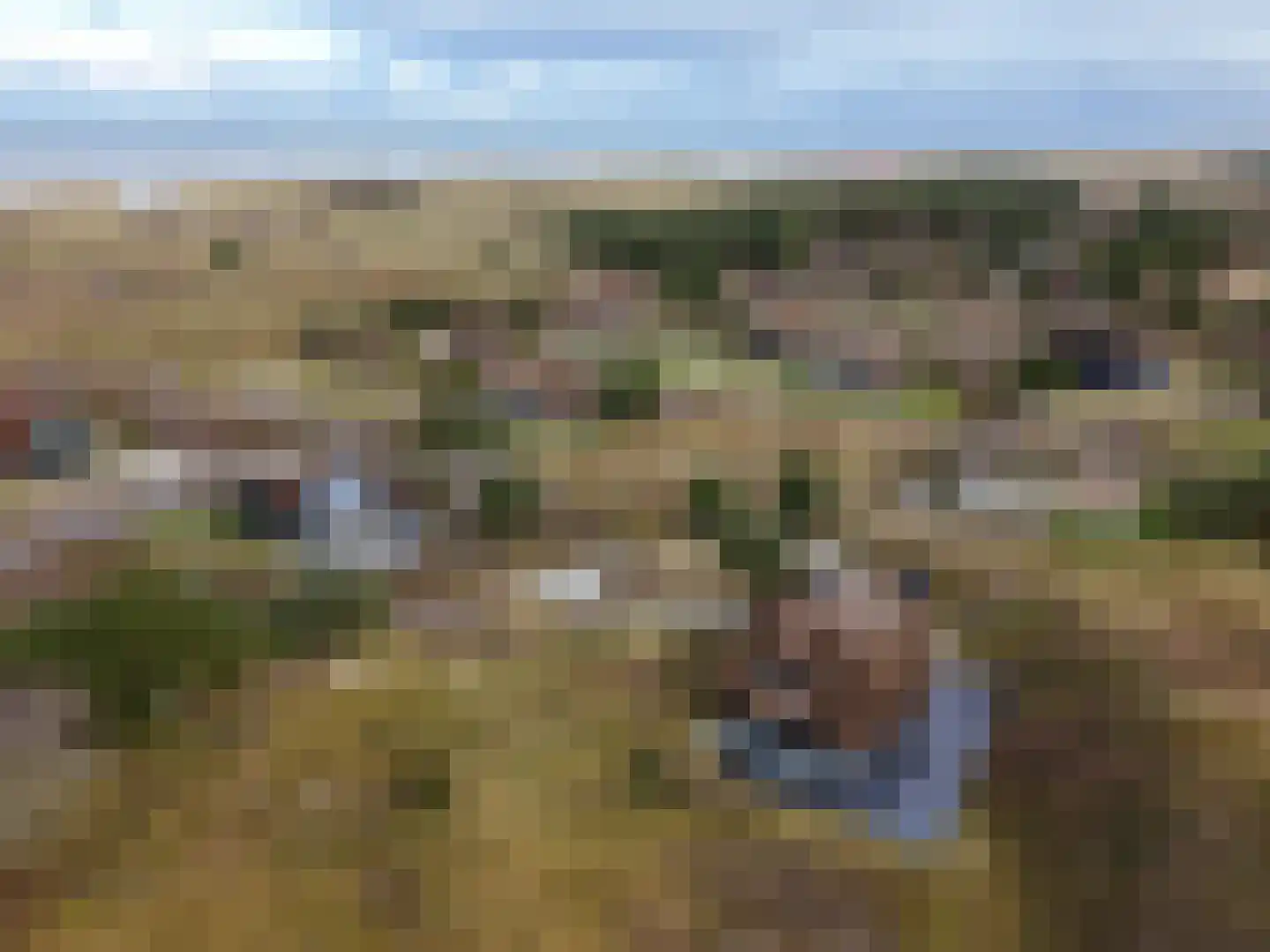 Bosrand 21 a Buren thumbnail 70