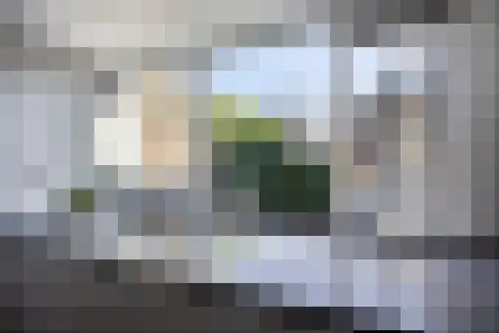 Bosrand 23 Schiedam thumbnail 15