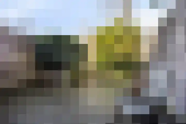 Bosrand 23 Schiedam thumbnail 17