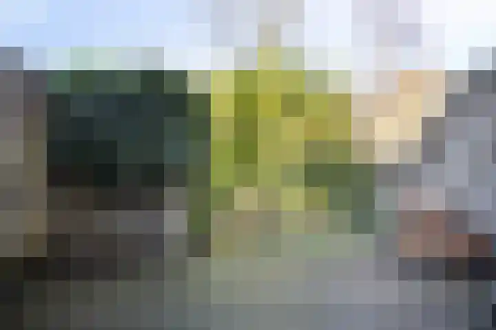 Bosrand 23 Schiedam thumbnail 19