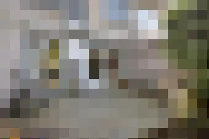 Bosrand 23 Schiedam thumbnail 20