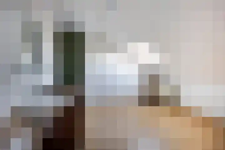 Bosrand 23 Schiedam thumbnail 33