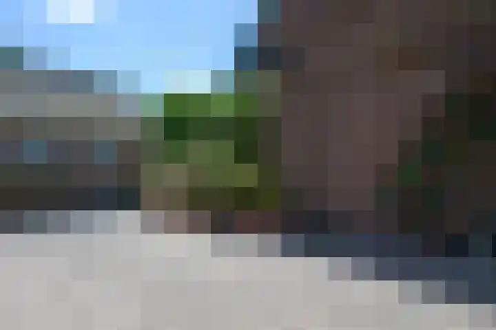 Bosrand 29 Putten thumbnail 31