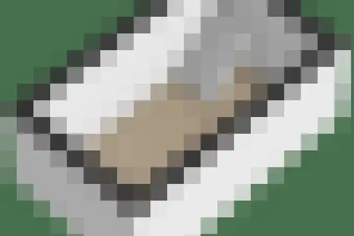 Bosrand 29 Putten thumbnail 45