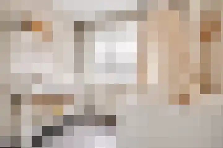 Bosrand 3 Boekel thumbnail 28