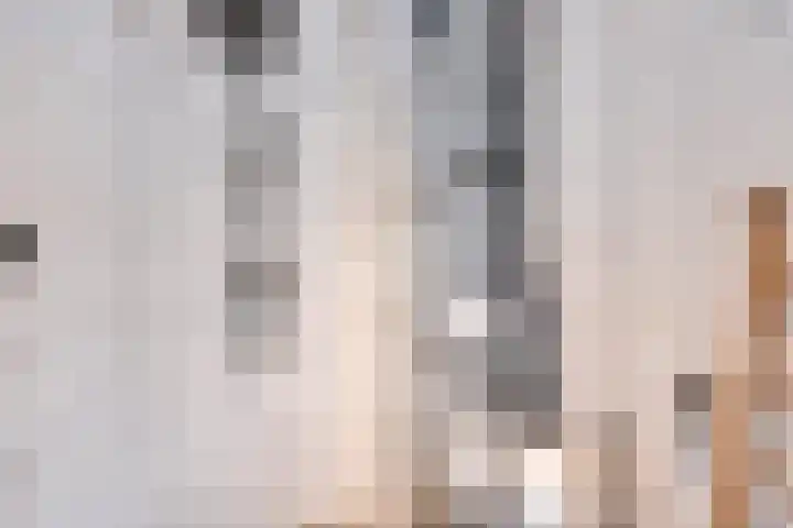 Bosrand 3 Boekel thumbnail 30