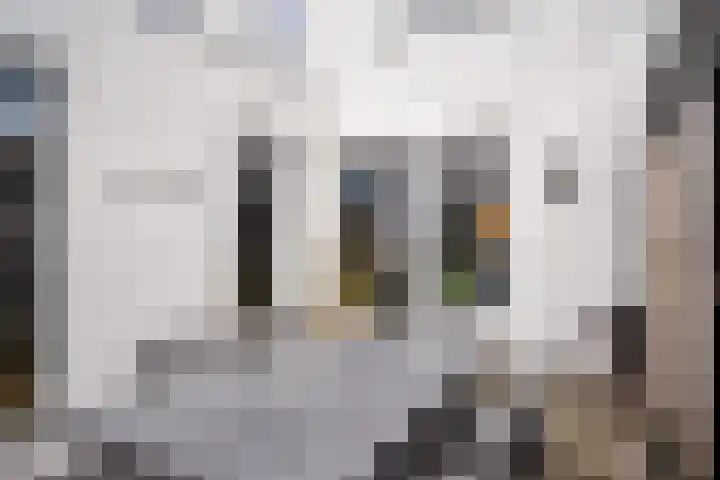 Bosrand 3 Boekel thumbnail 39
