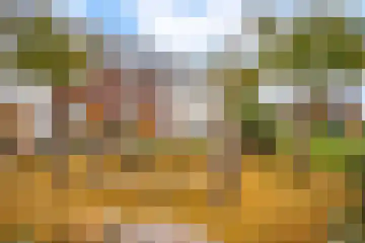 Bosrand 3 Boekel thumbnail 42