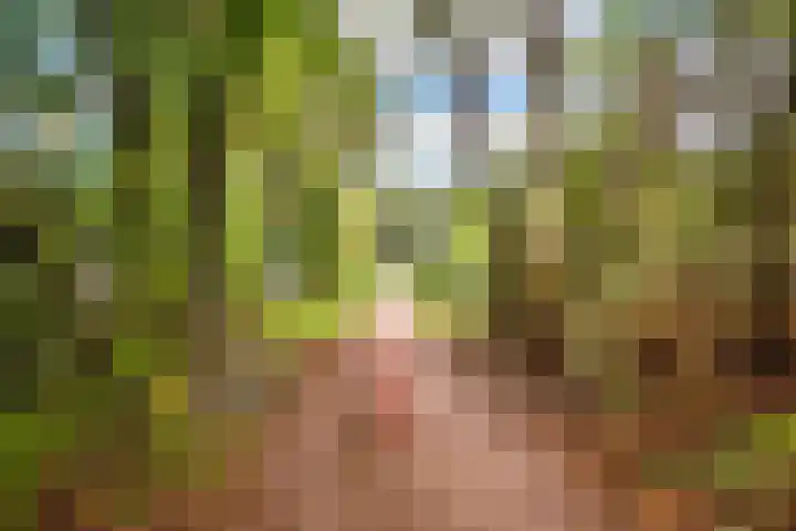 Bosrand 3 Boekel thumbnail 45