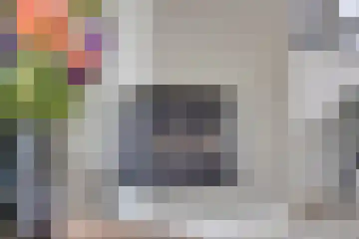 Bosrand 33 Geldrop thumbnail 13