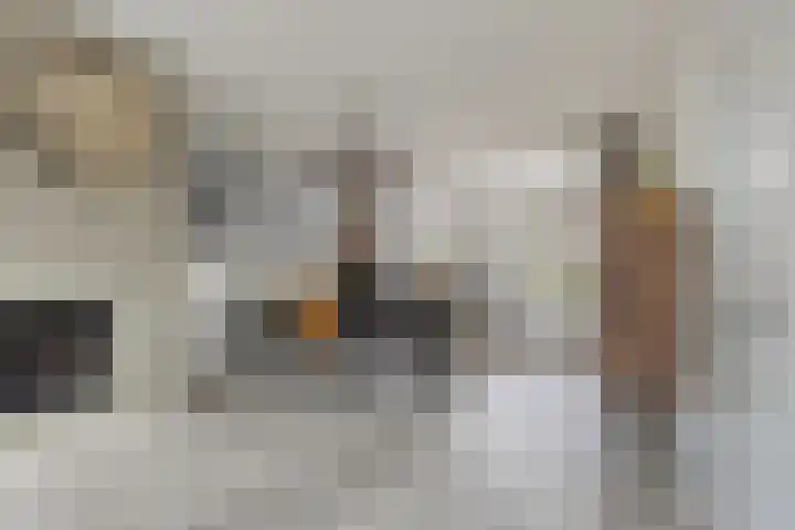 Bosrand 33 Geldrop thumbnail 14