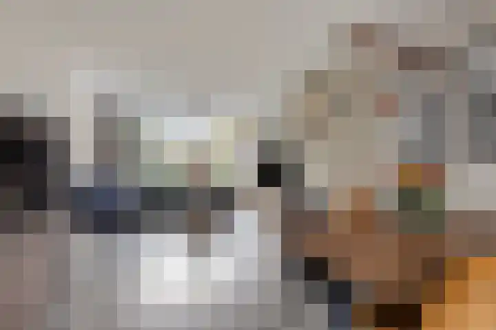 Bosrand 33 Geldrop thumbnail 15