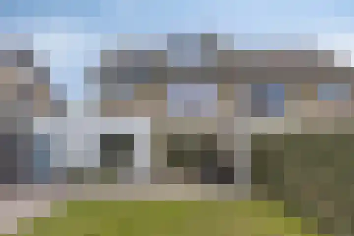 Bosrand 33 Geldrop thumbnail 34