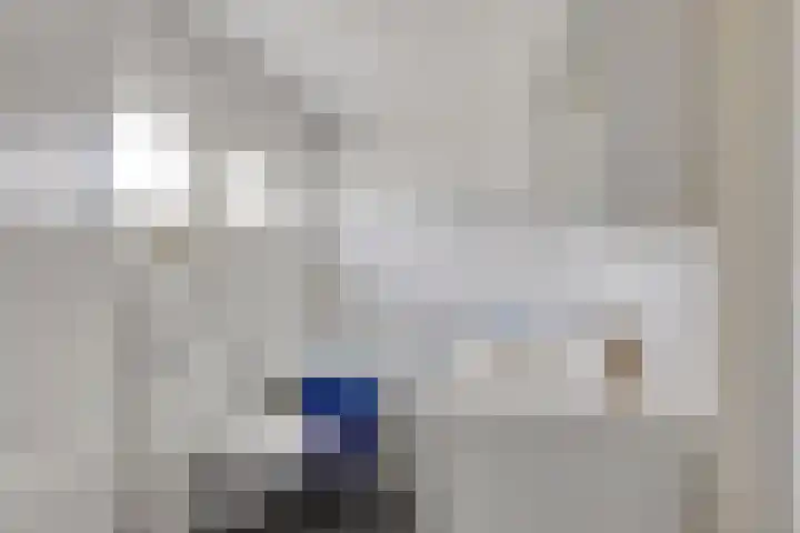 Bosrand 33 Geldrop thumbnail 4