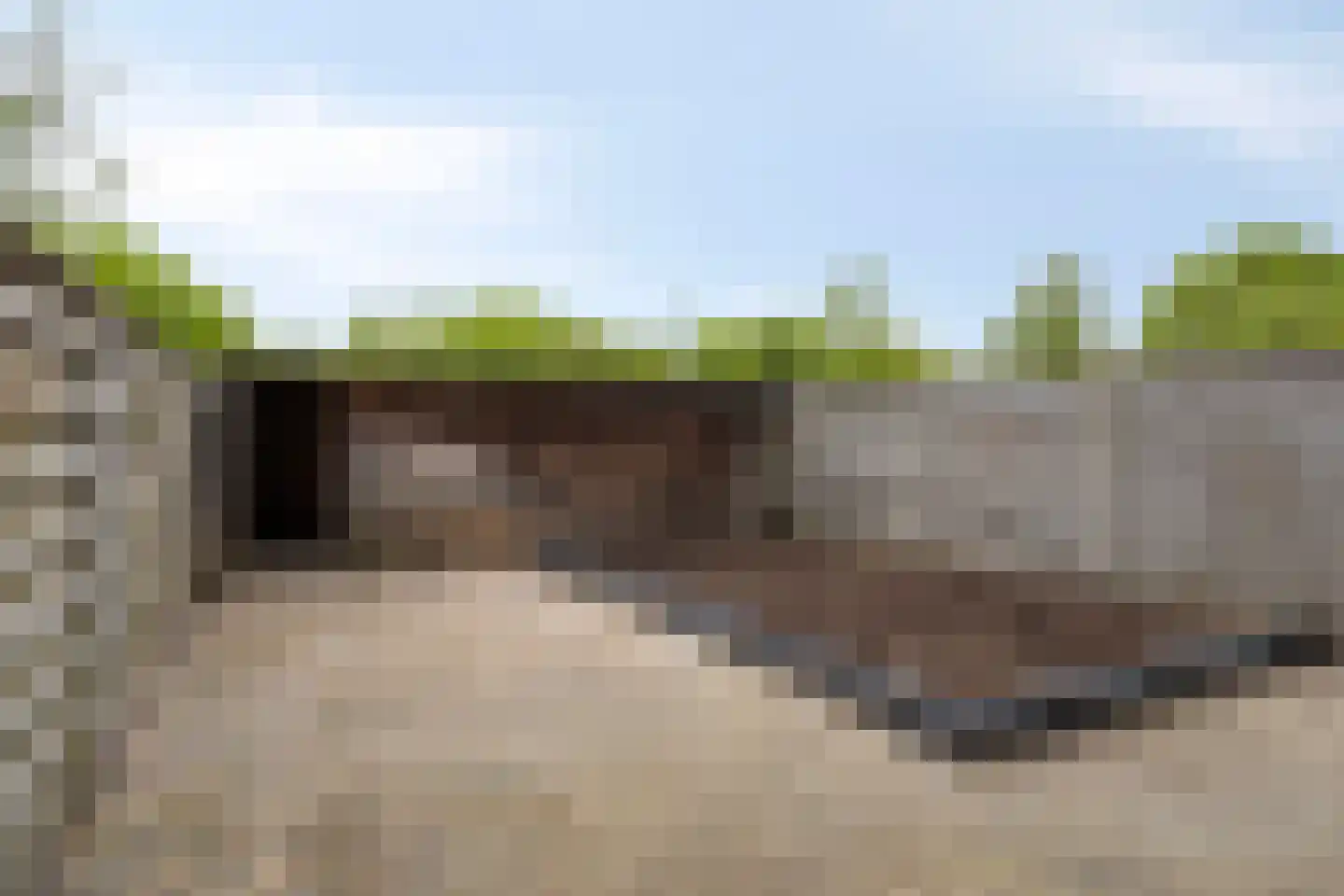 Bosrand 35 Ens thumbnail 29