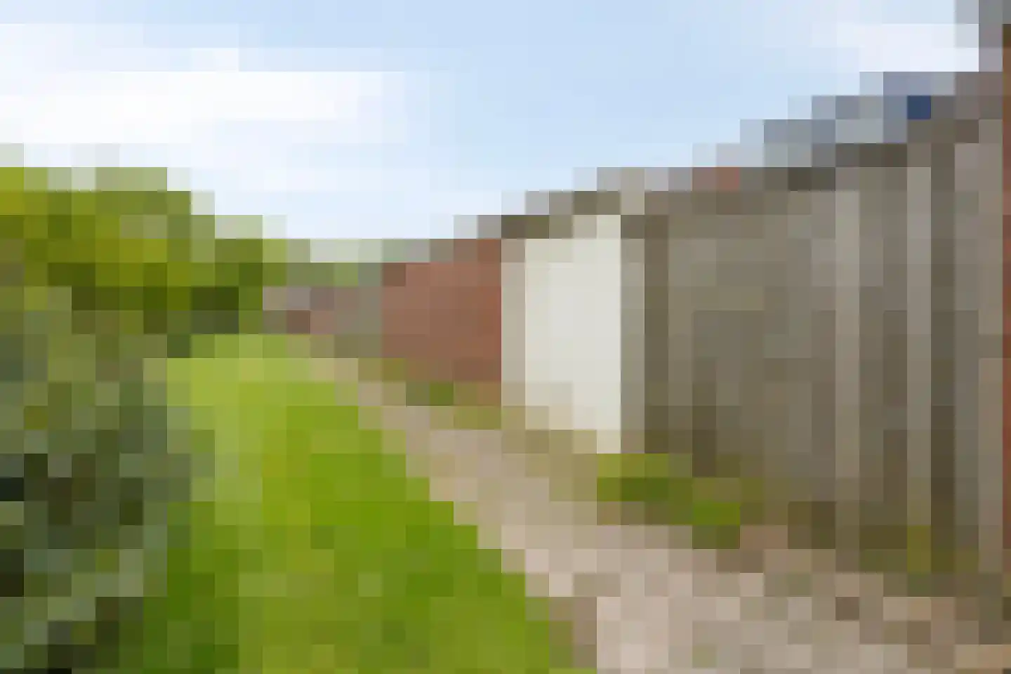 Bosrand 35 Ens thumbnail 34