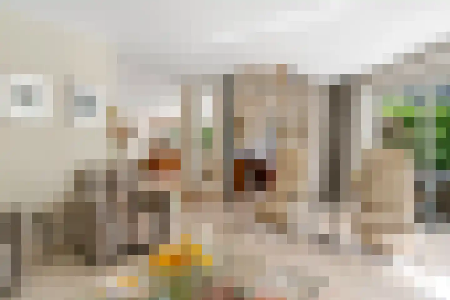 Bosrand 4 a Almelo thumbnail 13