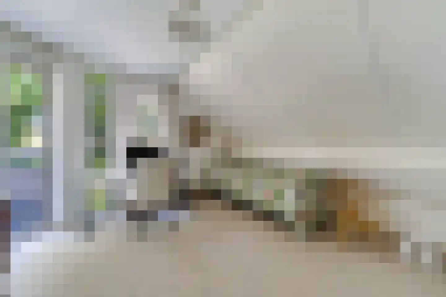 Bosrand 4 a Almelo thumbnail 32