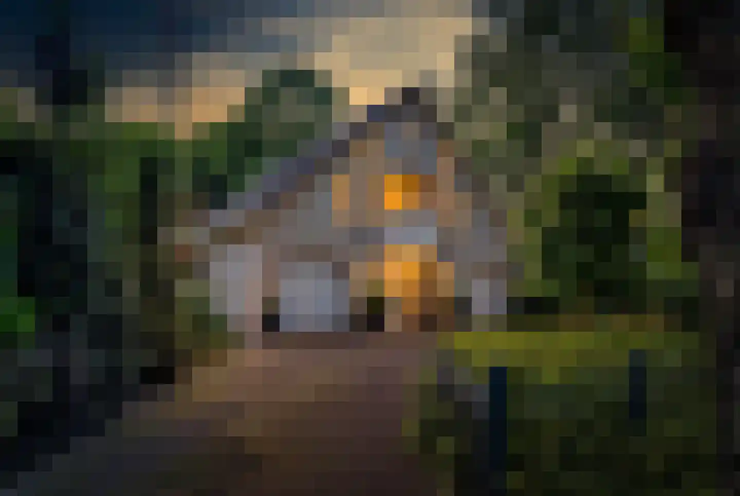 Bosrand 4 a Almelo thumbnail 4