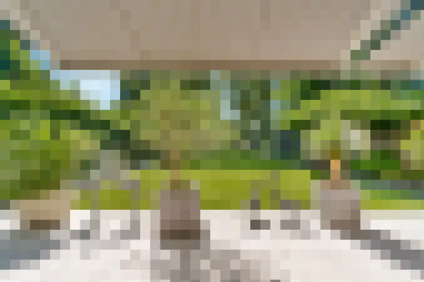 Bosrand 4 a Almelo thumbnail 44
