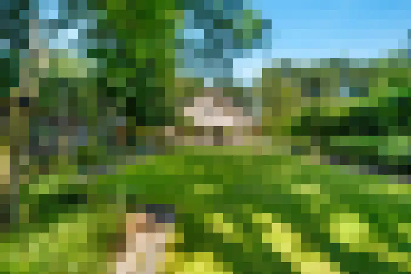 Bosrand 4 a Almelo thumbnail 49