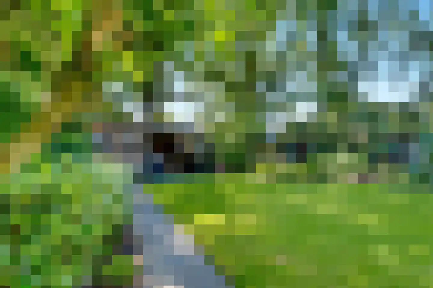 Bosrand 4 a Almelo thumbnail 53