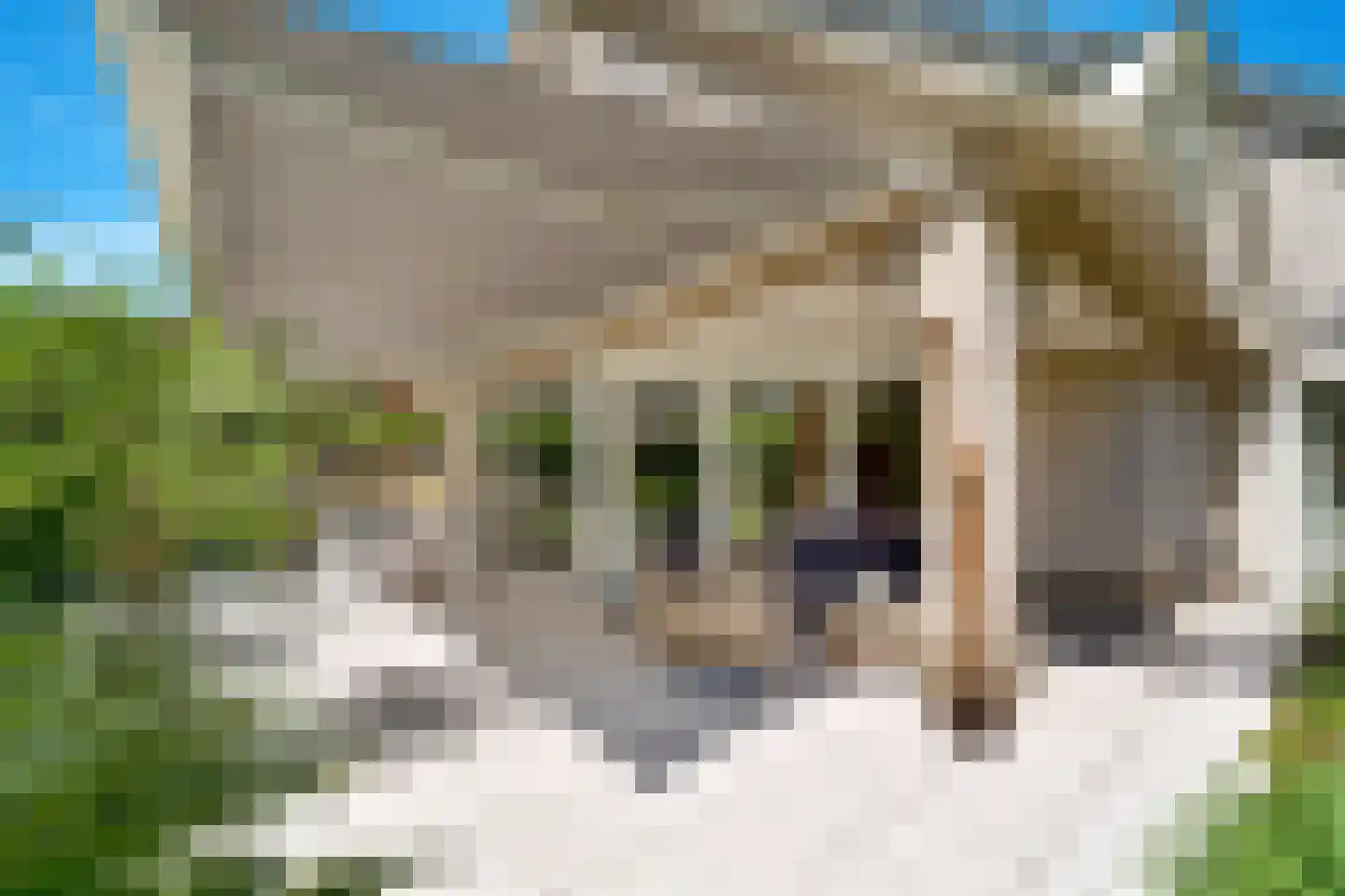 Bosrand 4 a Almelo thumbnail 54